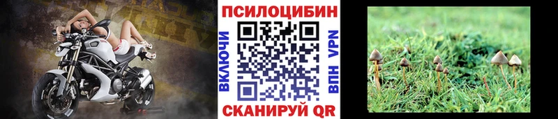 Псилоцибиновые грибы ЛСД  купить закладку  Тарко-Сале 